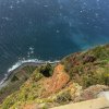 Madeira